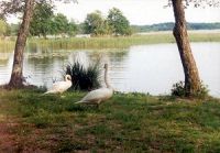 The lac d'Azur