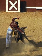 Course landaise Photo Jean Philippe Plantey Course landaise landes sud ouest (Photographie Jean Philippe Plantey)