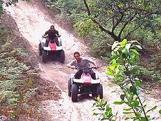 Quad Max in Labenne